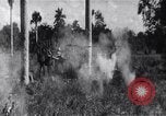 Immagine di L invasione di Baia dei porci Jocuma Cuba, 1961, secondo 61 filmato di repertorio 65675034332