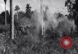 Immagine di L invasione di Baia dei porci Jocuma Cuba, 1961, secondo 62 filmato di repertorio 65675034332