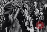 Image of Bay of Pigs invasion Cuba, 1961, second 11 stock footage video 65675034333