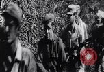 Image of Bay of Pigs invasion Cuba, 1961, second 12 stock footage video 65675034333