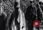 Image of Bay of Pigs invasion Cuba, 1961, second 14 stock footage video 65675034333