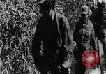 Image of Bay of Pigs invasion Cuba, 1961, second 15 stock footage video 65675034333