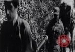 Image of Bay of Pigs invasion Cuba, 1961, second 16 stock footage video 65675034333