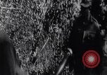 Image of Bay of Pigs invasion Cuba, 1961, second 18 stock footage video 65675034333
