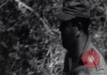 Image of Bay of Pigs invasion Cuba, 1961, second 25 stock footage video 65675034333
