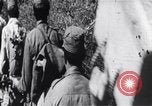 Image of Bay of Pigs invasion Cuba, 1961, second 28 stock footage video 65675034333