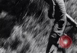 Image of Bay of Pigs invasion Cuba, 1961, second 32 stock footage video 65675034333