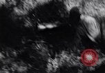 Image of Bay of Pigs invasion Cuba, 1961, second 34 stock footage video 65675034333