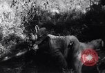 Image of Bay of Pigs invasion Cuba, 1961, second 39 stock footage video 65675034333