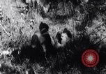 Image of Bay of Pigs invasion Cuba, 1961, second 41 stock footage video 65675034333