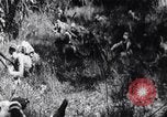 Image of Bay of Pigs invasion Cuba, 1961, second 42 stock footage video 65675034333