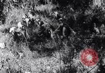Image of Bay of Pigs invasion Cuba, 1961, second 44 stock footage video 65675034333
