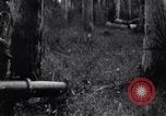 Image of Bay of Pigs invasion Cuba, 1961, second 49 stock footage video 65675034333