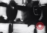 Image of Bay of Pigs invasion Cuba, 1961, second 53 stock footage video 65675034334