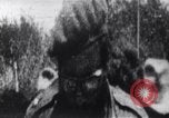 Image of Bay of Pigs invasion Cuba, 1961, second 14 stock footage video 65675034335