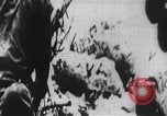 Image of Bay of Pigs invasion Cuba, 1961, second 19 stock footage video 65675034335