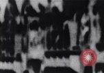 Image of Bay of Pigs invasion Cuba, 1961, second 35 stock footage video 65675034335