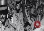 Image of Bay of Pigs invasion Cuba, 1961, second 45 stock footage video 65675034335