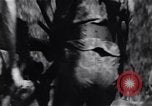 Image of Bay of Pigs invasion Cuba, 1961, second 14 stock footage video 65675034336