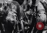 Image of Bay of Pigs invasion Cuba, 1961, second 15 stock footage video 65675034336