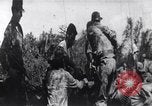 Image of Bay of Pigs invasion Cuba, 1961, second 18 stock footage video 65675034336