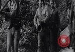 Image of Bay of Pigs invasion Cuba, 1961, second 25 stock footage video 65675034336