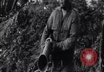 Image of Bay of Pigs invasion Cuba, 1961, second 30 stock footage video 65675034336