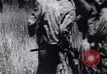 Image of Bay of Pigs invasion Cuba, 1961, second 44 stock footage video 65675034336
