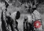 Image of Bay of Pigs invasion Cuba, 1961, second 49 stock footage video 65675034336