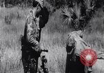 Image of Bay of Pigs invasion Cuba, 1961, second 50 stock footage video 65675034336
