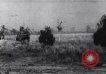 Image of Bay of Pigs invasion Cuba, 1961, second 32 stock footage video 65675034337