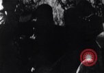 Image of Bay of Pigs invasion Cuba, 1961, second 39 stock footage video 65675034337