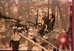 Image of Roy Wilkins United States USA, 1977, second 40 stock footage video 65675034353