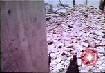 Image of tornadoes United States USA, 1978, second 49 stock footage video 65675034360
