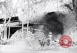 Image Bataille de teinte Vietnam, 1968, de la seconde 39 séquences d'archives historiques vidéo 65675034410