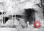 Image Bataille de teinte Vietnam, 1968, de la seconde 40 séquences d'archives historiques vidéo 65675034410