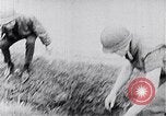 Image Bataille de teinte Vietnam, 1968, de la seconde 48 séquences d'archives historiques vidéo 65675034410