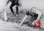 Image Bataille de teinte Vietnam, 1968, de la seconde 49 séquences d'archives historiques vidéo 65675034410