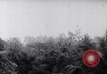 Image Bataille de teinte Vietnam, 1968, de la seconde 57 séquences d'archives historiques vidéo 65675034410