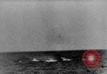 Image of German submarines Germany, 1944, second 31 stock footage video 65675034440