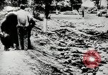 Standbild Massaker von Katyn des polnischen Vinnitsa Ukraine Sowjetunion, 1944, aus Sekunde 8 historischem Filmmaterial Videoclip 65675034441