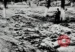 Standbild Massaker von Katyn des polnischen Vinnitsa Ukraine Sowjetunion, 1944, aus Sekunde 10 historischem Filmmaterial Videoclip 65675034441