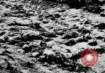Standbild Massaker von Katyn des polnischen Vinnitsa Ukraine Sowjetunion, 1944, aus Sekunde 13 historischem Filmmaterial Videoclip 65675034441