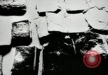 Standbild Massaker von Katyn des polnischen Vinnitsa Ukraine Sowjetunion, 1944, aus Sekunde 41 historischem Filmmaterial Videoclip 65675034441