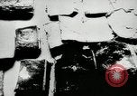 Standbild Massaker von Katyn des polnischen Vinnitsa Ukraine Sowjetunion, 1944, aus Sekunde 42 historischem Filmmaterial Videoclip 65675034441