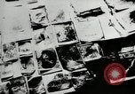 Standbild Massaker von Katyn des polnischen Vinnitsa Ukraine Sowjetunion, 1944, aus Sekunde 43 historischem Filmmaterial Videoclip 65675034441
