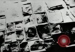 Standbild Massaker von Katyn des polnischen Vinnitsa Ukraine Sowjetunion, 1944, aus Sekunde 44 historischem Filmmaterial Videoclip 65675034441