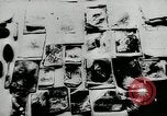 Standbild Massaker von Katyn des polnischen Vinnitsa Ukraine Sowjetunion, 1944, aus Sekunde 47 historischem Filmmaterial Videoclip 65675034441