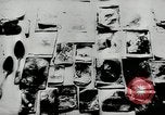Standbild Massaker von Katyn des polnischen Vinnitsa Ukraine Sowjetunion, 1944, aus Sekunde 48 historischem Filmmaterial Videoclip 65675034441