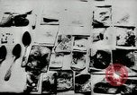 Standbild Massaker von Katyn des polnischen Vinnitsa Ukraine Sowjetunion, 1944, aus Sekunde 49 historischem Filmmaterial Videoclip 65675034441